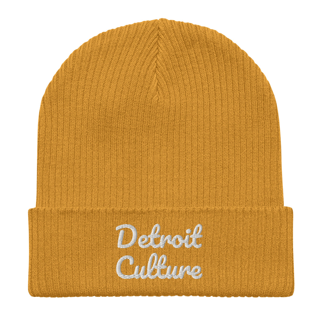 Detroit Culture Knitted Hat