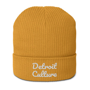 Detroit Culture Knitted Hat