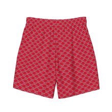 Load image into Gallery viewer, Detroit Culture Swim Shorts
