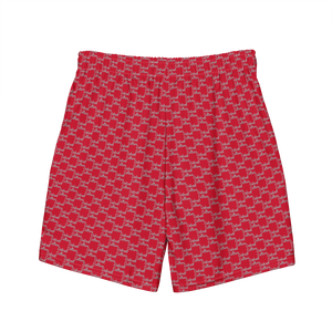 Detroit Culture Swim Shorts