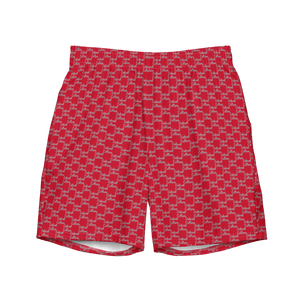 Detroit Culture Swim Shorts