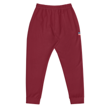 Load image into Gallery viewer, Detroit Culture Joggers (Men&#39;s)
